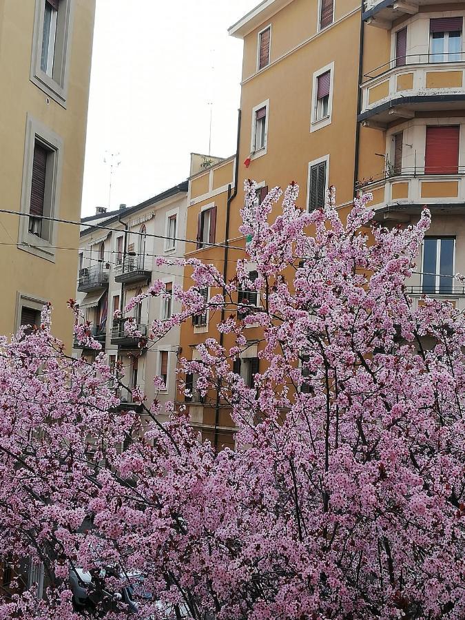 Appartamento: Tranquillita O Divertimento Bologna Exterior foto